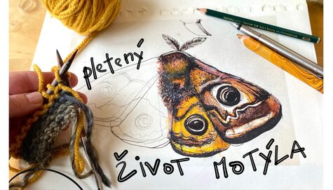 Workshop - Život motýla