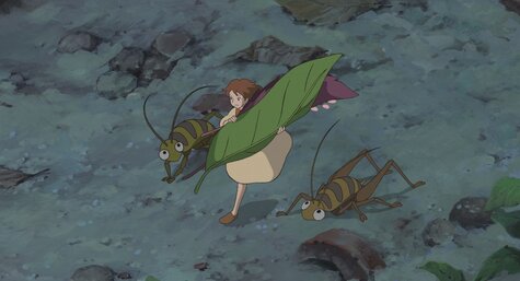 Film - Arrietty ze světa půjčovníčků