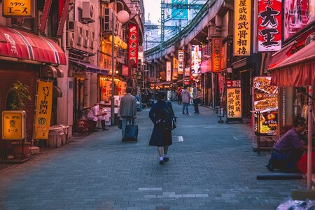 Literatura - Čtenářský klub: Japonská literatura