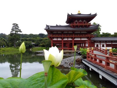 Přednáška - Japonsko: země vycházejícího slunce